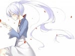 Weiss Schnee