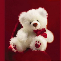 Teddy bear hugs