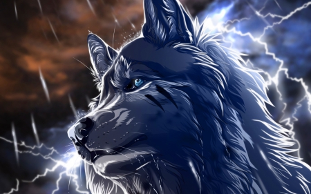 anime wolf - wolf, rain, blue eye, animal, lightning, storm, anime wolf