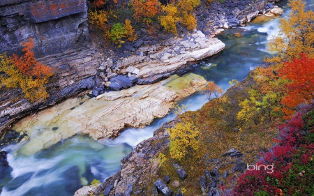 Abiskojakka River, Sweden - water, plants, bing, stones, rocks