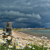 Cloudy Coastline