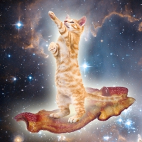 Bacon Space Kitty