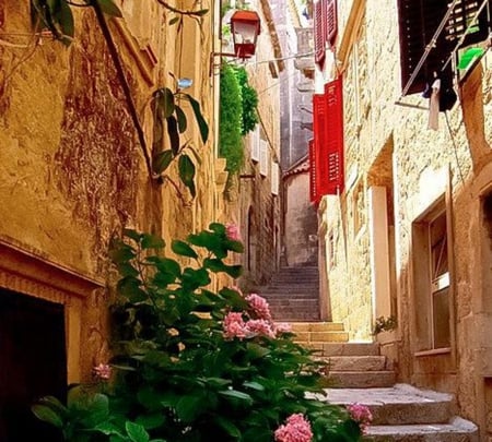 stone street - italy, street, architecture, flowers, photography