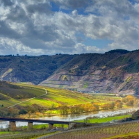 rail bridge over the moselle river in germany