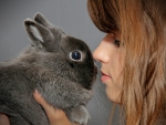 *** Girl and rabbit ***