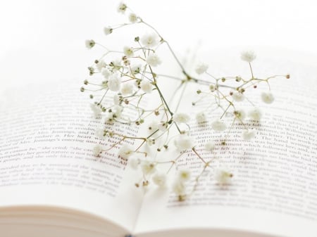 Open book - flowers, page, white, book