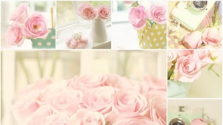 Flowers Collage - collage, flowers, pink, soft