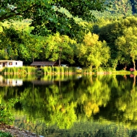 A perfect place for picnic