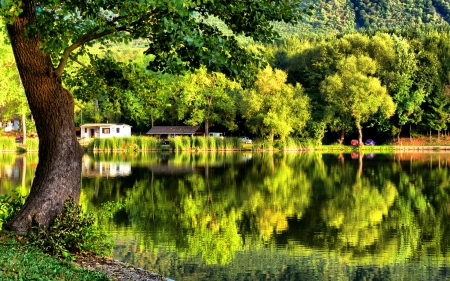 A perfect place for picnic - nice, cottage, trees, greenery, clear, mirrored, perfect, calm, crystal, quiet, reflection, emerald, river, holiday, green, house, grass, lake, picnic, cars, summer, place, lovely, serenity, nature, weekend, beautiful, silence