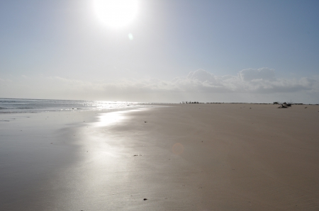 Silver Sands - sky, beach, sun, water, magestic, shiny, pretty, beautiful, clouds, sand