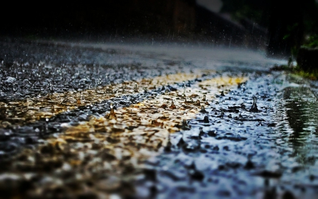 Rain - nature, wp, street, rain