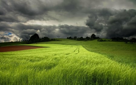 storm-clouds-over-the-green-field