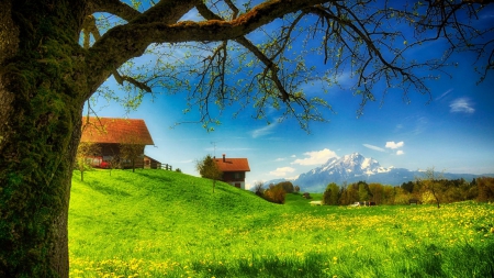 village in a beautiful meadow in spring - mountains, meadow, village, trees, grass