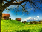 village in a beautiful meadow in spring