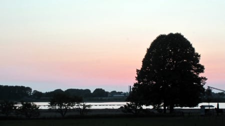 Sunset at the river - horizon, nature, trees, river, sunsets, sunset