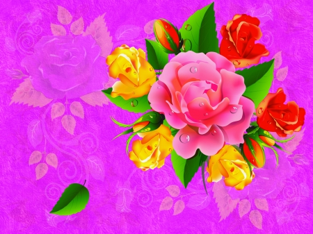 Roses - colorful, rose, purple, happy