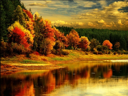 Fall colors reflection