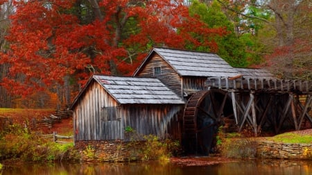 Mabry Mill in autumn - quiet, reflection, leaves, calmness, water mill, nice, falling, trees, water, beautiful, mill, lovely, fall, colorful, nature, season, autumn, serenity, Mabry, foliage