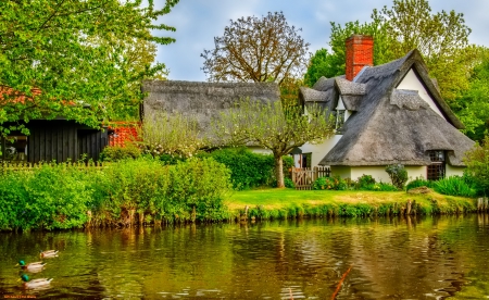 House - house, river, trees, red, garde, photo