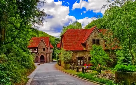 Houses - sky, houses, trees, green, house, road, photo