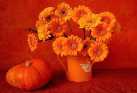 Orange still life - nice, autumn, background, pumpkin, delicate, lovely, still life, vase, garberas, pretty, beautiful, orange, flowers, harmony