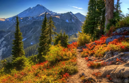 Autumn in the mountain - nice, sky, slope, autumn, colorful, foliage, rocks, gorgeous, amazing, seasom, snowy, grass, cliffs, peaks, lovely, pathway, beautiful, leaves, colors