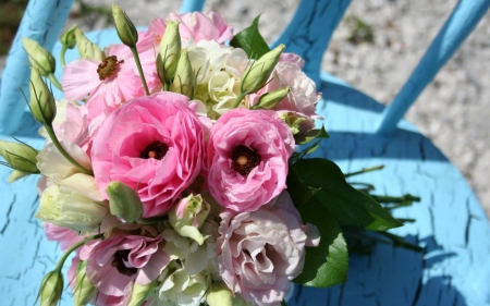 Pink ranunculus - white, flower, ranunculus, pink, bouquet, chair, blue, green