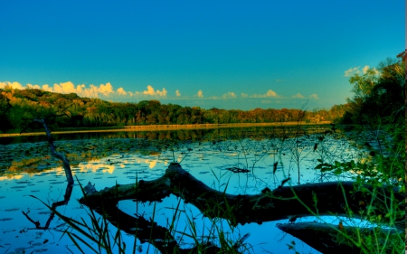 THE FALLEN TREE - lake, tree, fallen, clouds