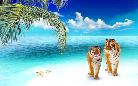 WILD SUMMER - beach, palms, summer, sea, tigers