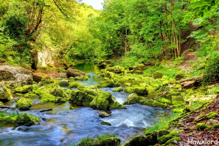 Magical  Orbe gorge - trees, water, photography, splendor, landscape, forest, valley, magical, gorge, tree, stones, orbe, colorful, river, nature