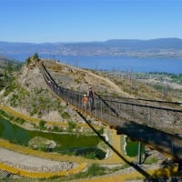 Kelowna Mountain Park Suspension Bridge