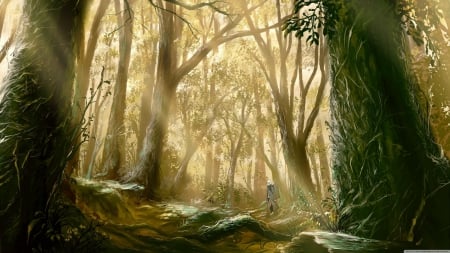 Forest of Light - anime, forest, trees, light