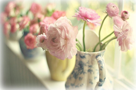 Still life - flowers, nature, pink, stilllife