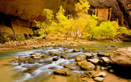 Fall creek - calm, quiet, silence, creek, tranquil, stream, mountain, shore, nice, falling, water, flow, beautiful, lovely, stones, tree, fall, colorful, river, nature, autumn, serenity, foliage, rocks