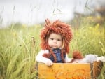 *** Lion baby ***