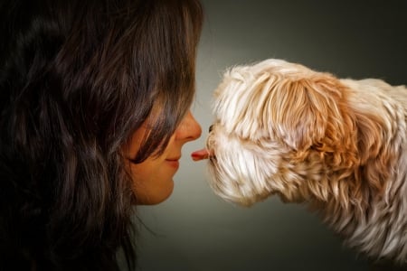 Woman and dog - pretty, beautiful, dog face, puppies, lovely, playful dog, sweet, playful, dogs, cute, face, puppy, animals