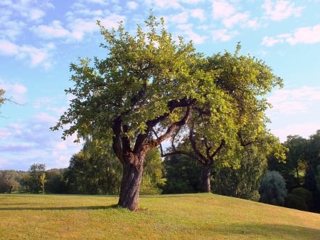 Hill of Dainas. Sigulda. - nature, art, people, history