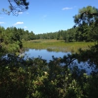 Back of Batso Lake, Batso NJ