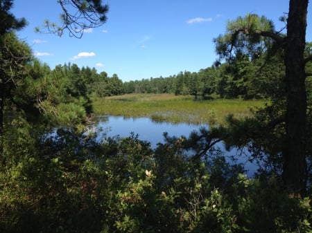 Back of Batso Lake, Batso NJ - lake, batso, pinelands, new jersey, nj