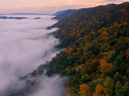 Kingdom Come State Park, Kentucky - trees, sunset, autumn, mist, sky