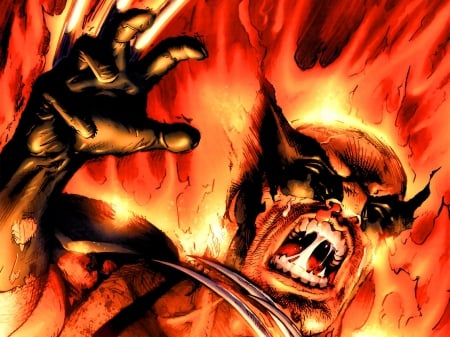 WOLVERINE - WOLVRINE, X-MEN, FIRE, RAGE