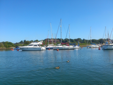 Lymington river - sunny, scenic, lovely, happy, boats, river, nature, bright, ducks