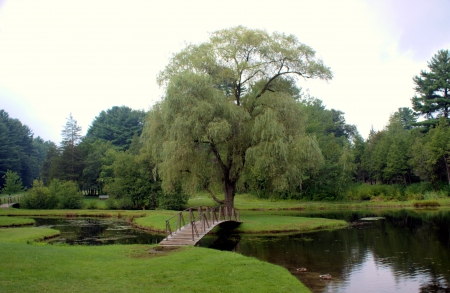 Crandal Park - new york, beautiful, park, tree, pond, bridge, willow