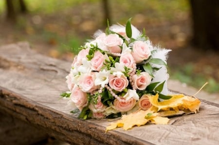 Autumn Bouquet - pearls, autumn, roses, photography, pink rose, bouquet, bench, lovely, pink, beautiful, feather, leaves