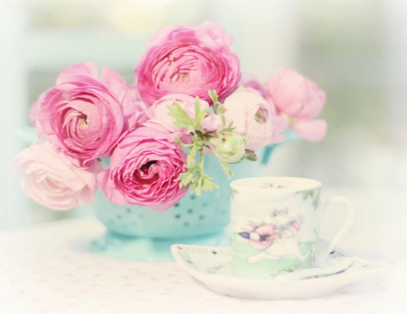 Still Life - flowers, nature, pink, cup