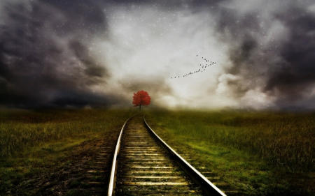 Railway Into Autumn - railway, field, nature, tree