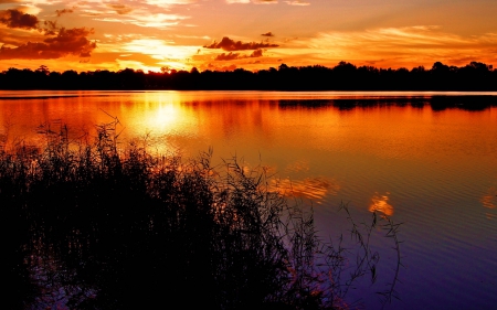 Sunset lake - nice, lake, sundown, sunset, lovely, serenity, calm, nature, glow, fiery, reflection, tranquil, beautiful, river