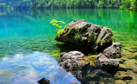 Lake Obersee - crystal, shore, lake, nice, emerald, Gemany, stone, trees, water, beautiful, mirrored, lovely, nature, green, clear, Obersee, rocks