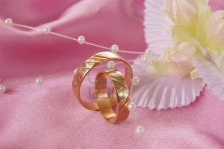 gold wedding rings - rings, wedding, background, love, pink