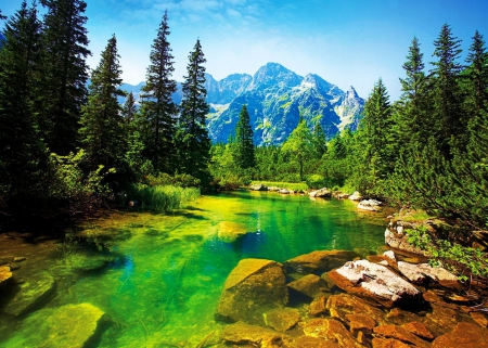 Tatra Mountains, Poland - trees, lake, forest, stones, rocks